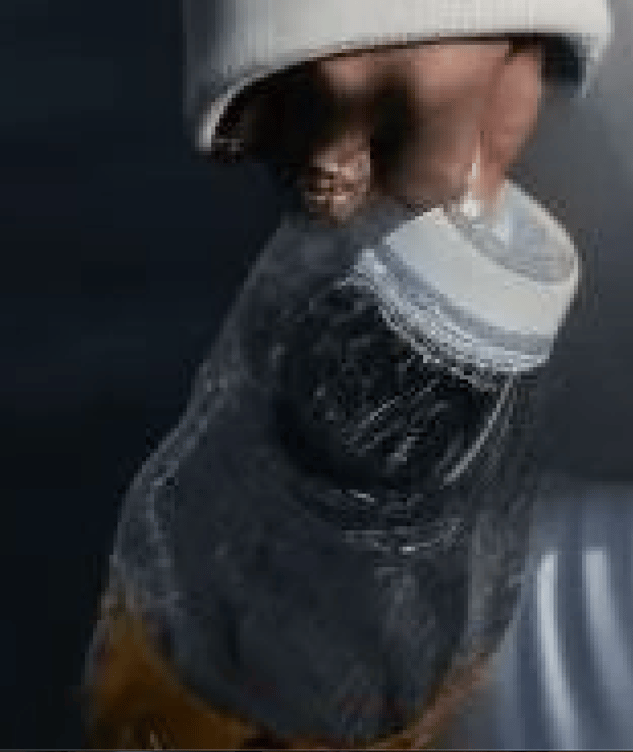 Qui porte un café à emporter dans un sac plastique comme cela, qui ?!