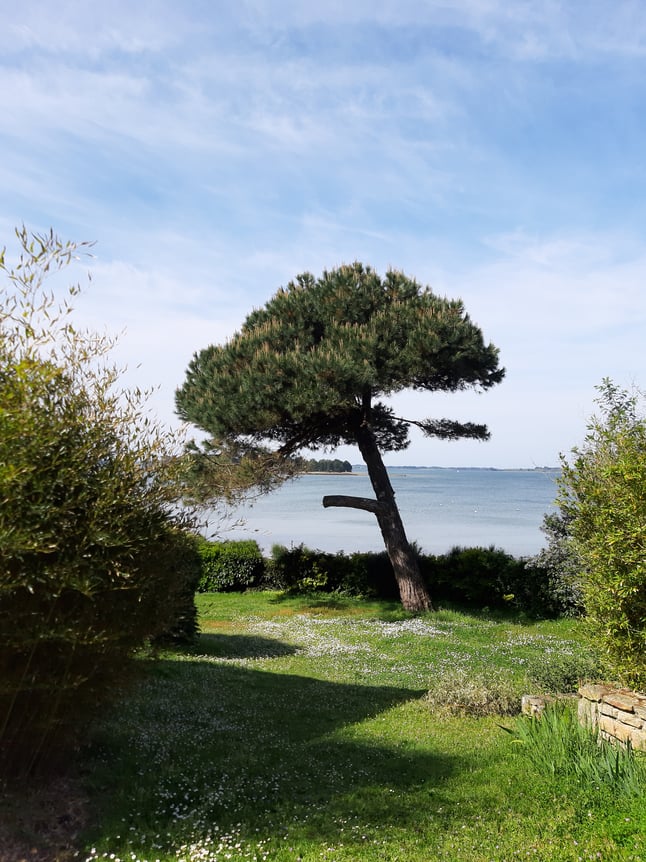 C'est tellement beau, du vert un peu sauvage ! - Mai 2023 - Image d'illustration