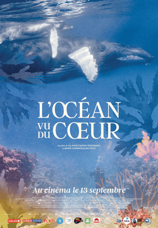 Youpi : Le film est déjà dans les salles ! 