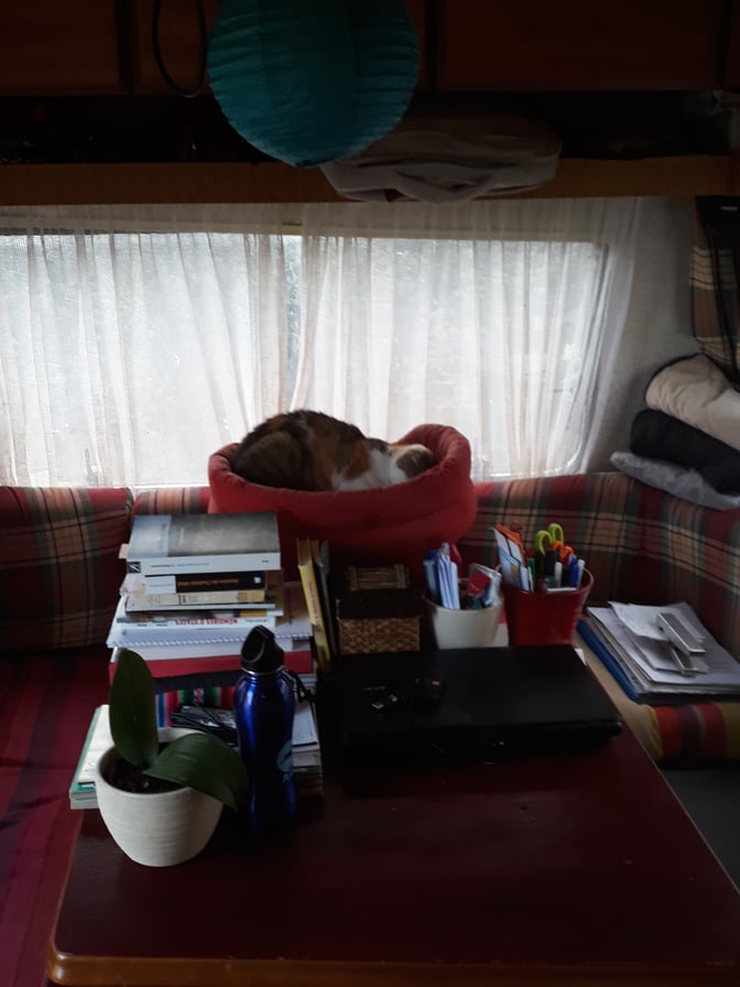 Luna à son poste de travail dans le bureau à l'arrière, Caniac-du-Causse (46), 23 octobre 2017, photo AB