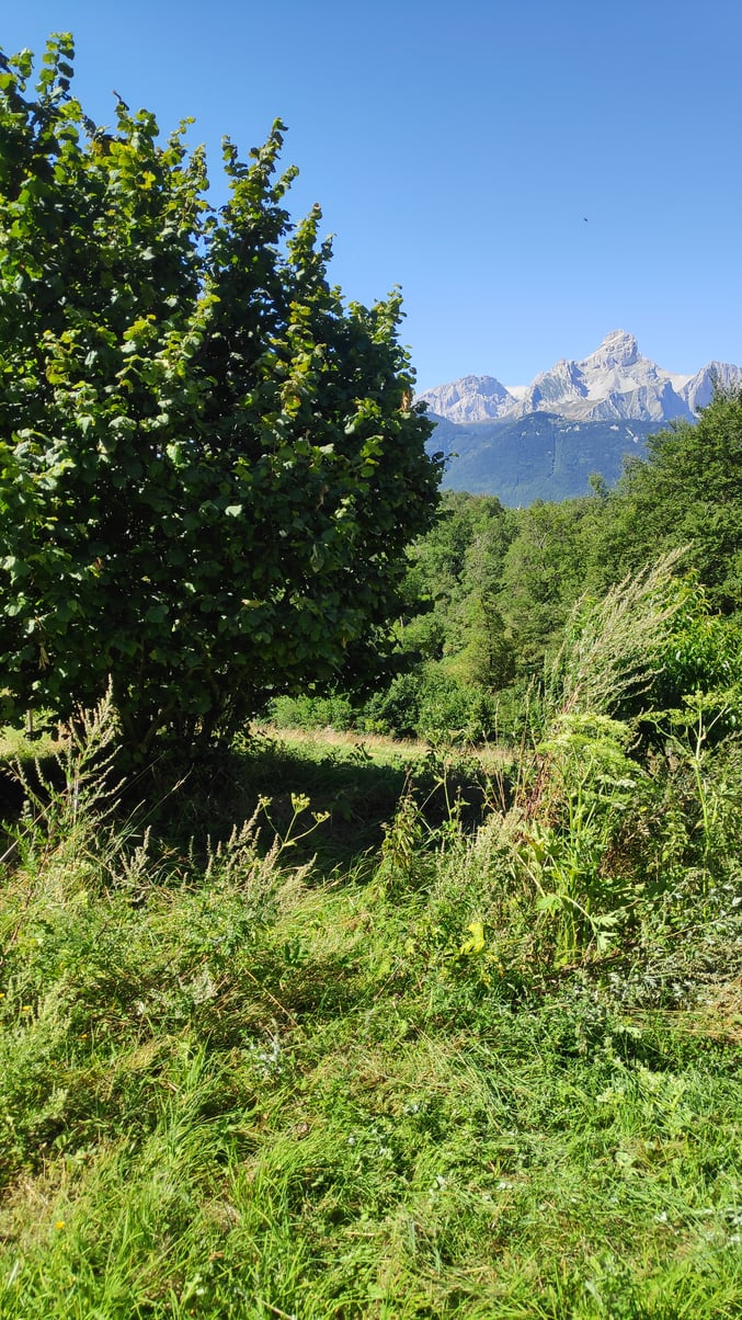 Cette vue tous les matins !