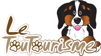 Une info qui a du chien !