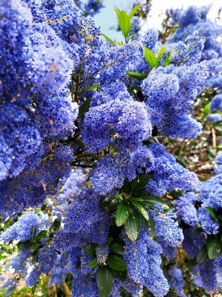 Et si finalement, la plus intelligente était la nature ? au fait as-tu trouvé où j'étais en Bretagne ?