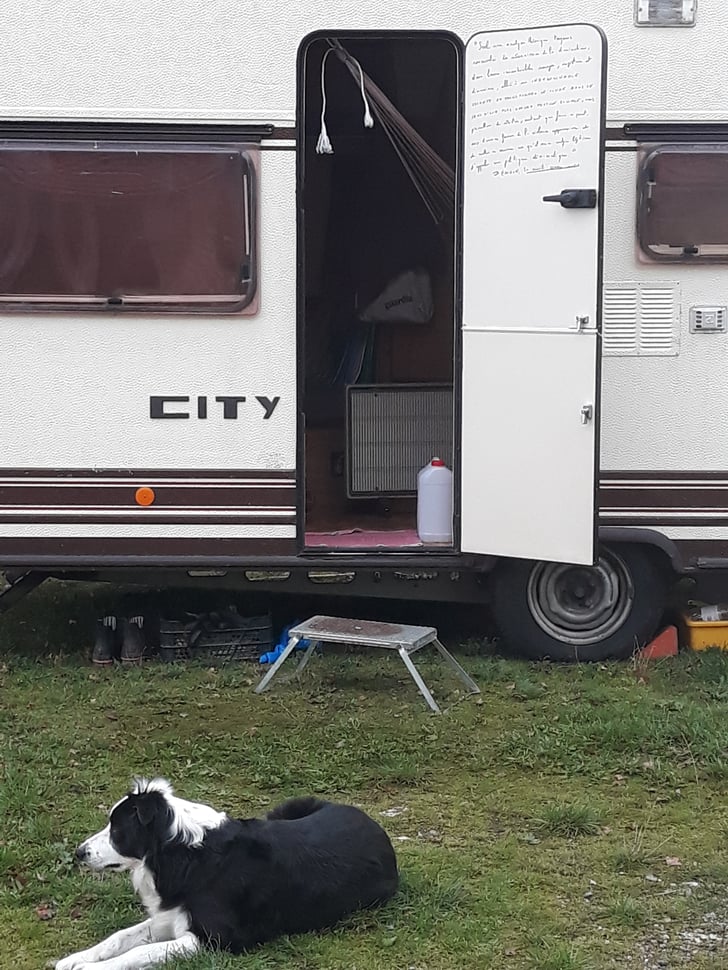 Elvis veille, Caniac-du-Causse (46), 23 octobre 2017, photo AB