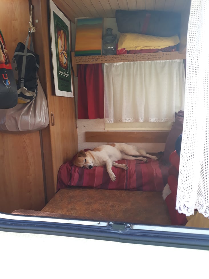 Lune dort dans le coin lecture à l'avant, Caniac-du-Causse (46), 14 octobre 2017, photo AB