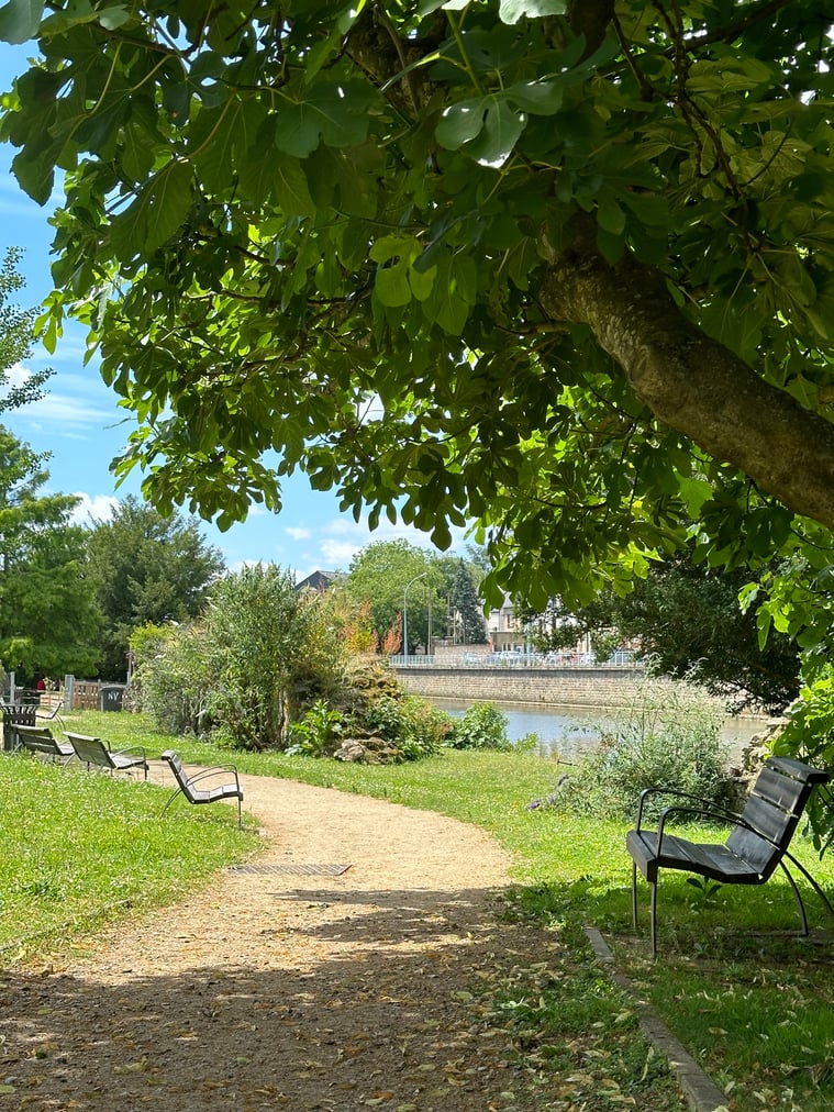 Balade dominicale. Rencontrer l'occasion de s'arrêter, contempler et se laisser caresser par le soleil.