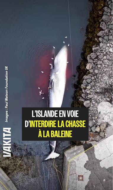 Post instagram de Vakita du 14 septembre 2026