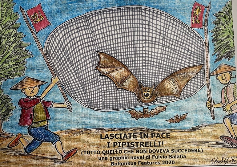 Laissez les chauve-souris en paix !