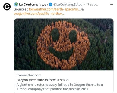 David Hampton a créé un émoji dans une forêt de l’Oregon - via Le contemplateur 
