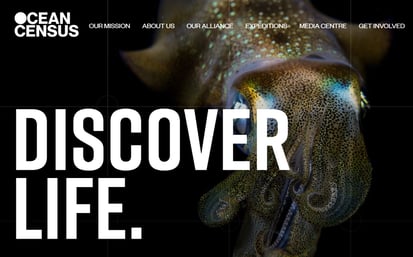 Site internet Ocean Census - DR