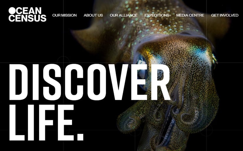Site internet Ocean Census - DR