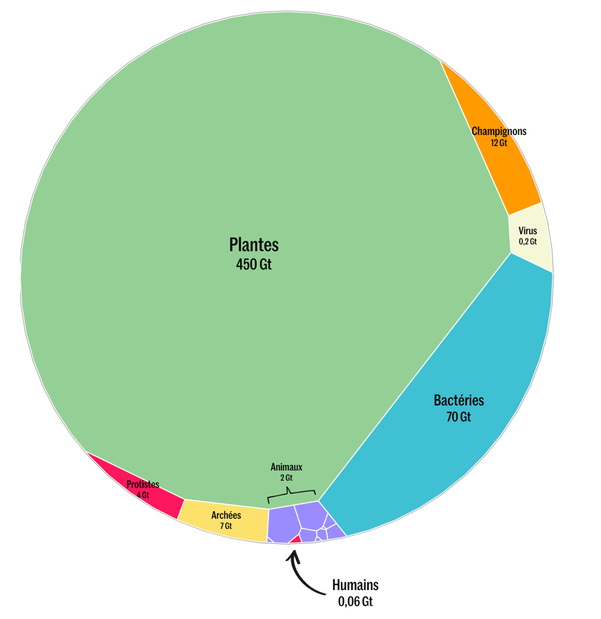 “Dans la balance du vivant, les hommes ne pèsent pas bien lourd” - Le Monde - Ulysse Lubin 