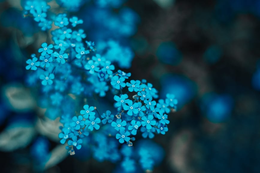 Nicolas Gourdon-Alexis dans Nikko_on_the_go