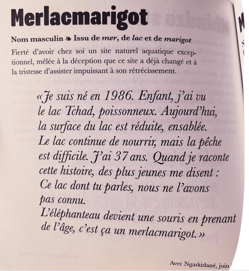 Extrait du dictionnaire "Les mots qu'il nous faut", Jeanne Henin, La Mer Salée Ed.