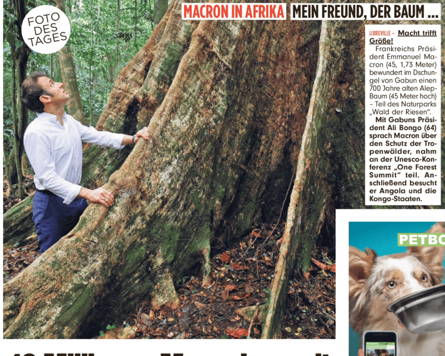 La photo du jour en une de "Bild": Macron en Afrique "Mon ami, l'arbre" (une référence à un hit allemand)