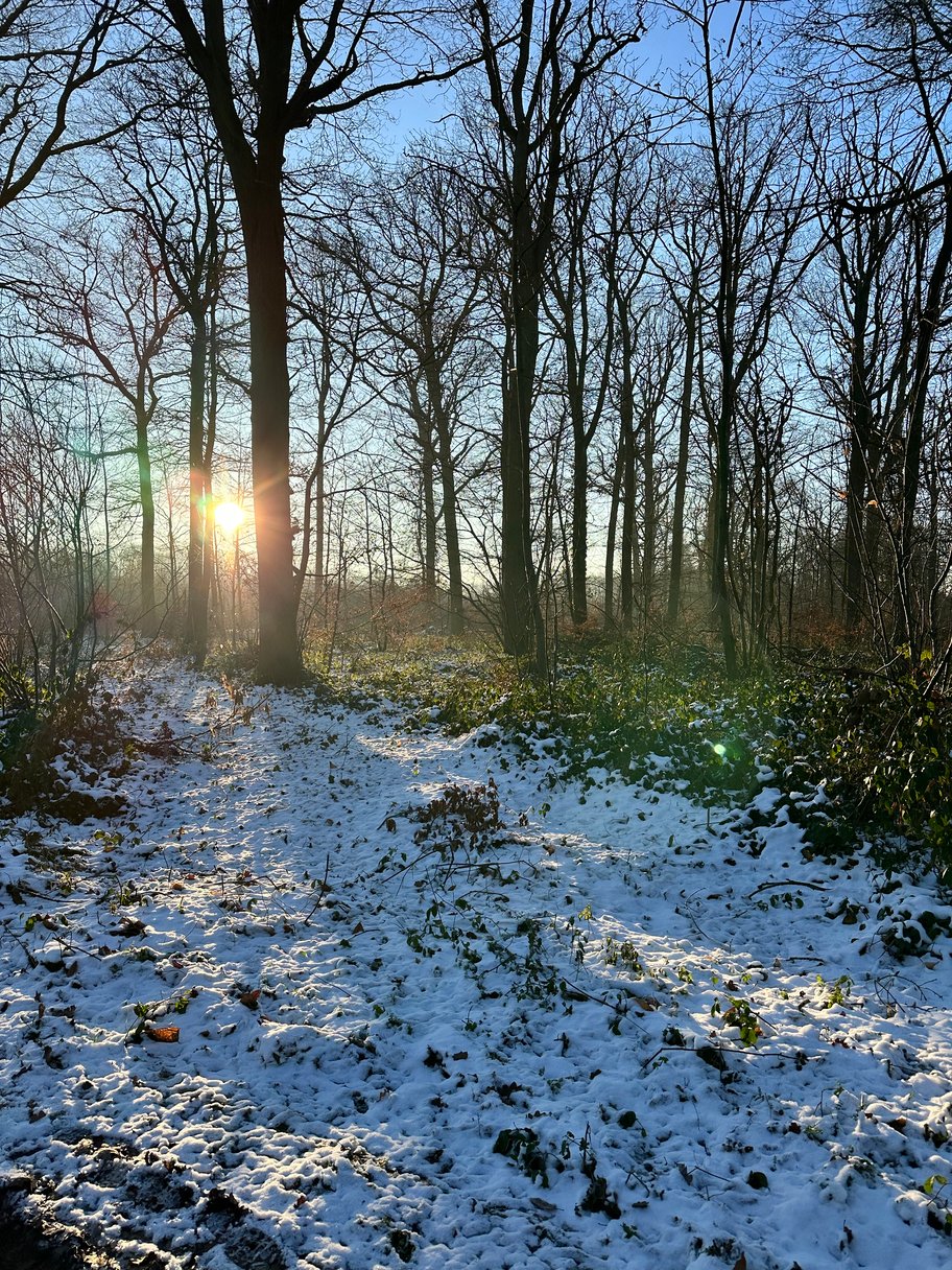 20 min de lumière par jour minimum, même s’il fait gris ! Nous sommes des êtres de lumière !!! 