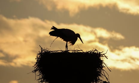 Photo d'illustration - Adrien Stachowiak sur Unsplash - 11 octobre 22
