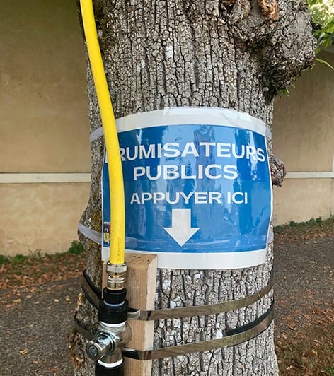 Près de chez moi, les arbres "brumisent"...