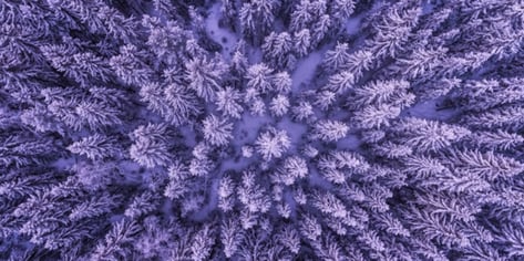 Photo Invisible Power via Unsplash - Menkerud, Norway 2017