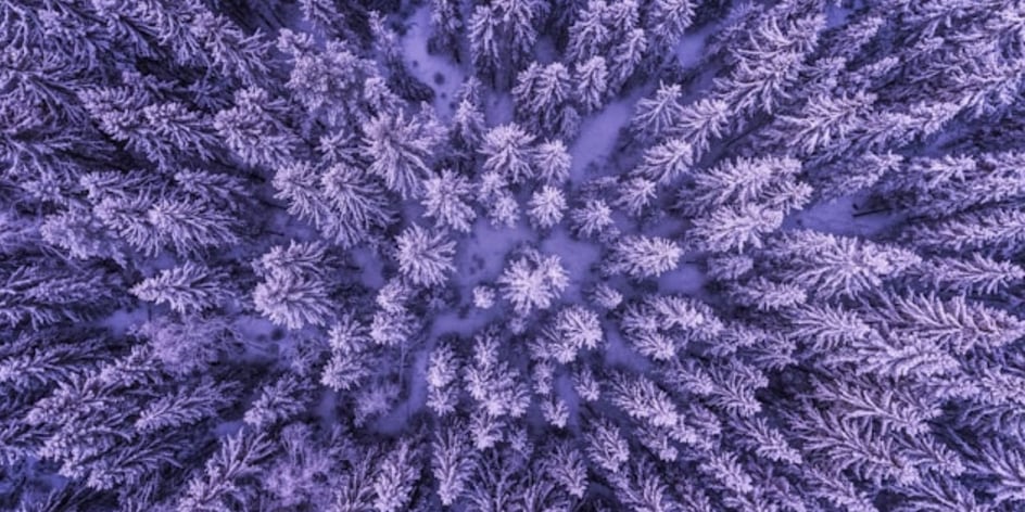 Photo Invisible Power via Unsplash - Menkerud, Norway 2017