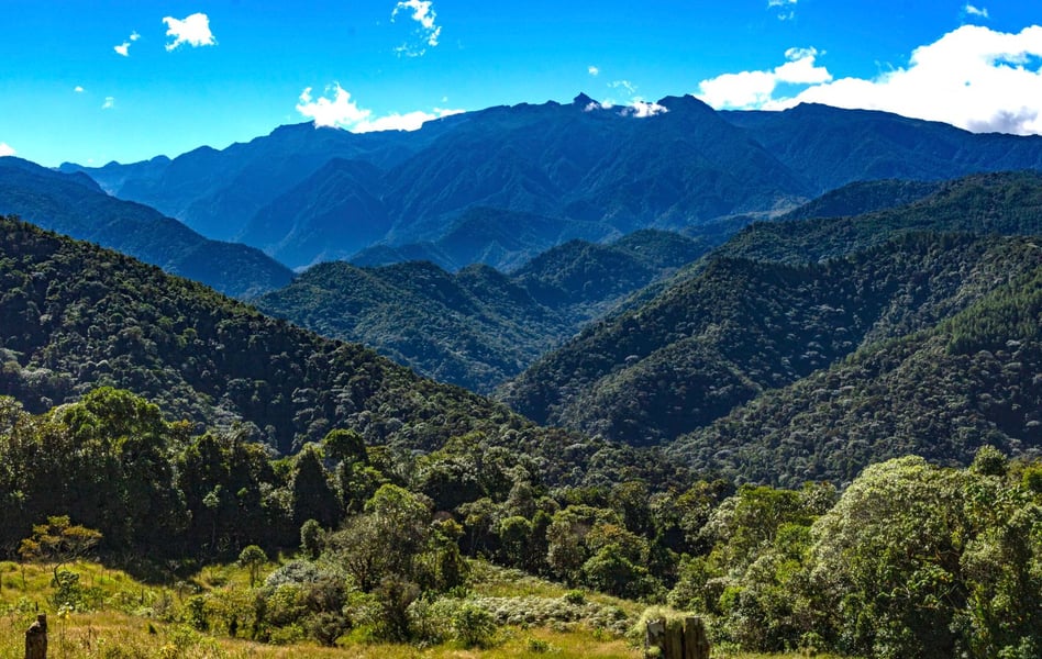 El Cafetero, terre de colibris, où Valentina a grandit
