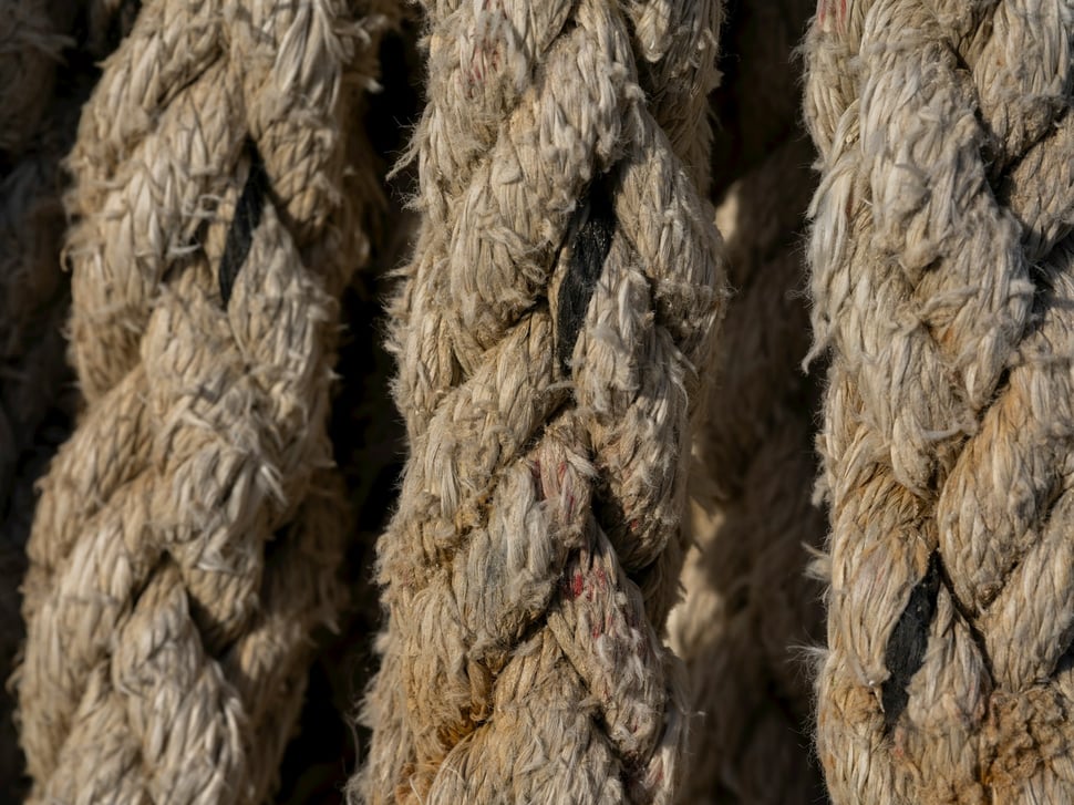 Photo de engin akyurt sur Unsplash