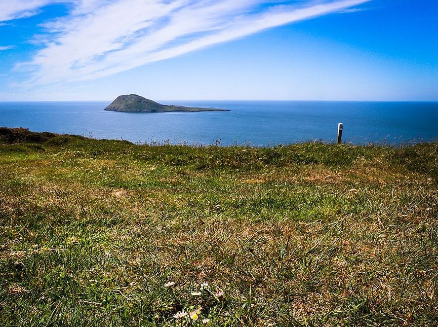 Ynys Enlli (Bardsey Island) with daisies in the foreground taken from Uwchmynydd, Llŷn Peninsula