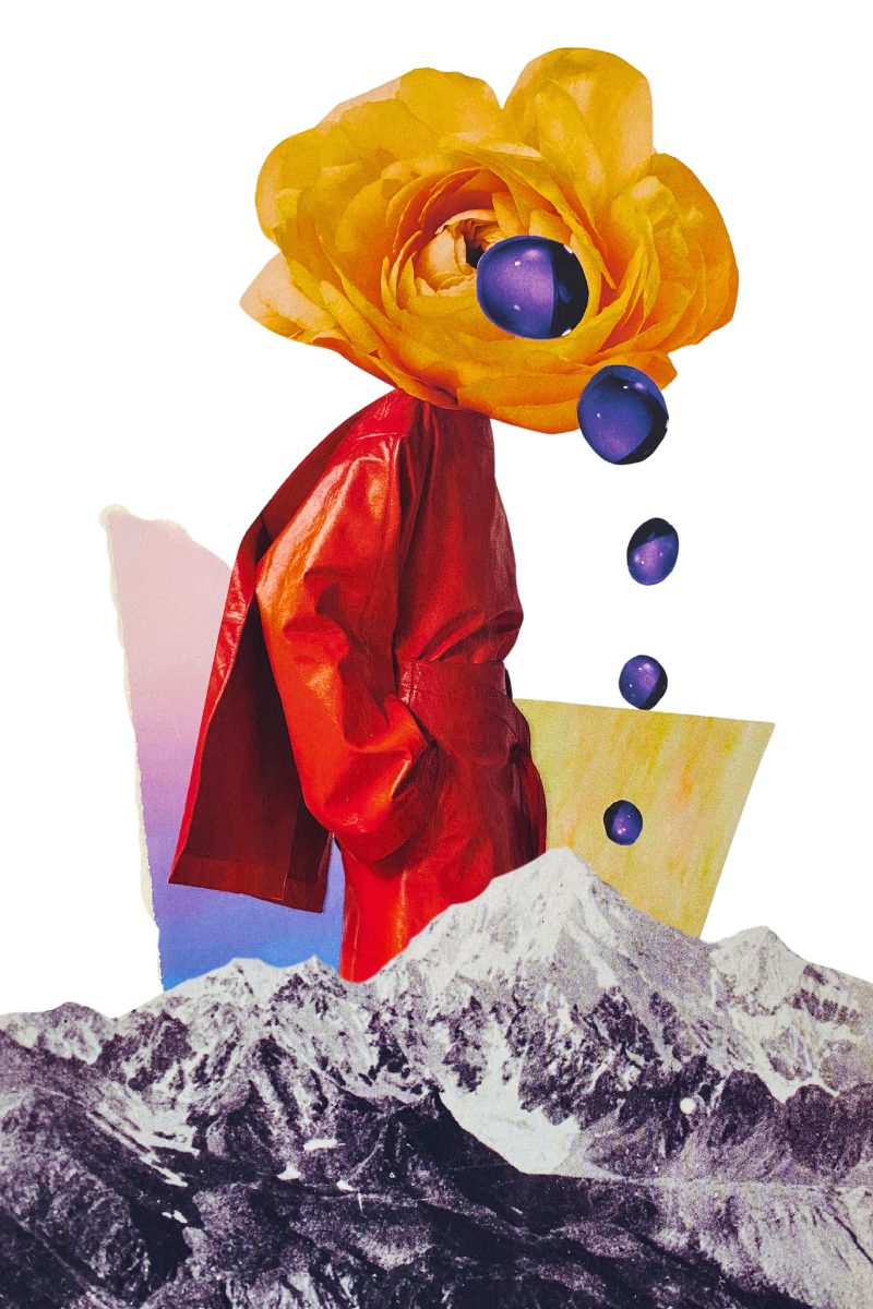 collage papier : Anaïs Richardin