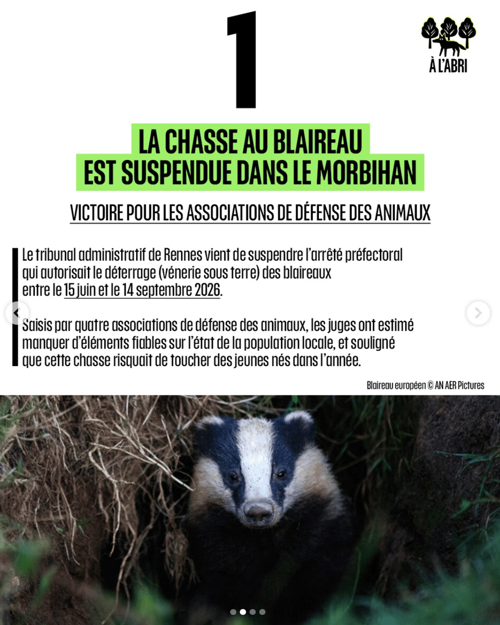 Post instagram "A l'abri" du 13 août