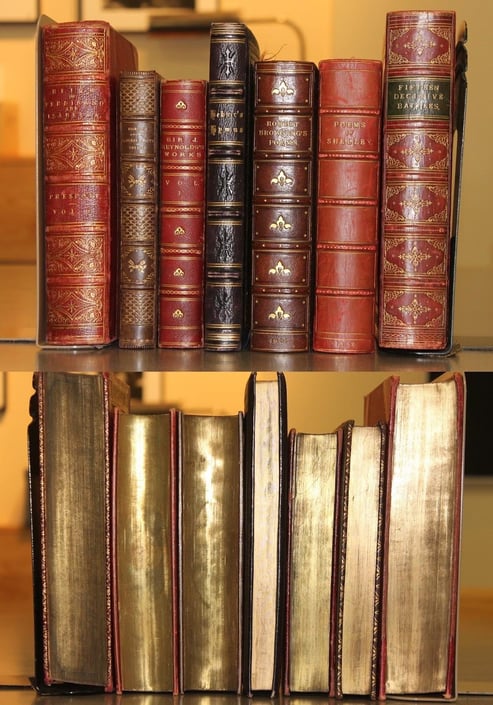 https://www.brandeis.edu/library/archives/essays/special-collections/fore-edge.html