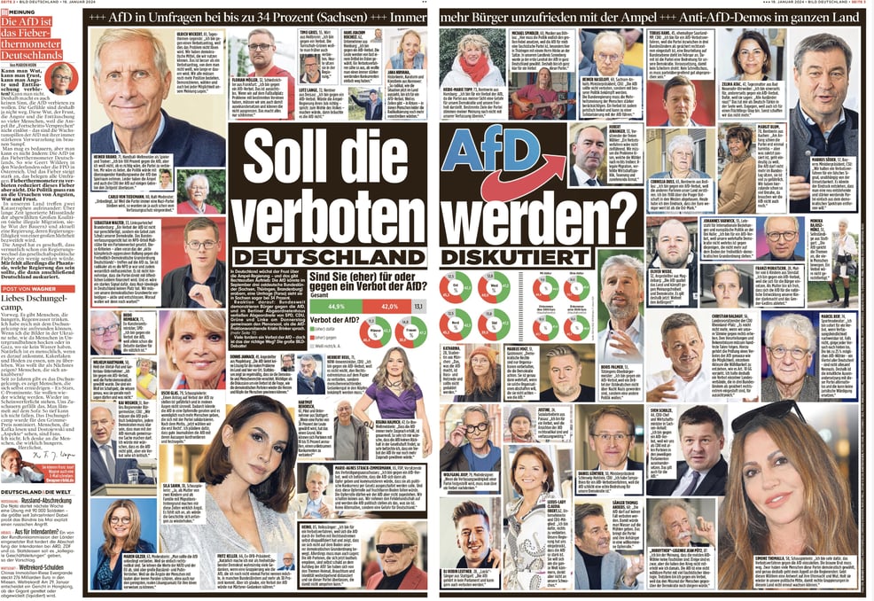 "Faut-il interdire l'AfD ?" le quotidien "Bild" a interrogé des Allemands, connus et moins connus