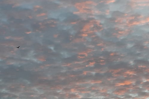 Beauté d'un ciel d'été - Je te laisse découvrir d'autres belles photos dans le 3/