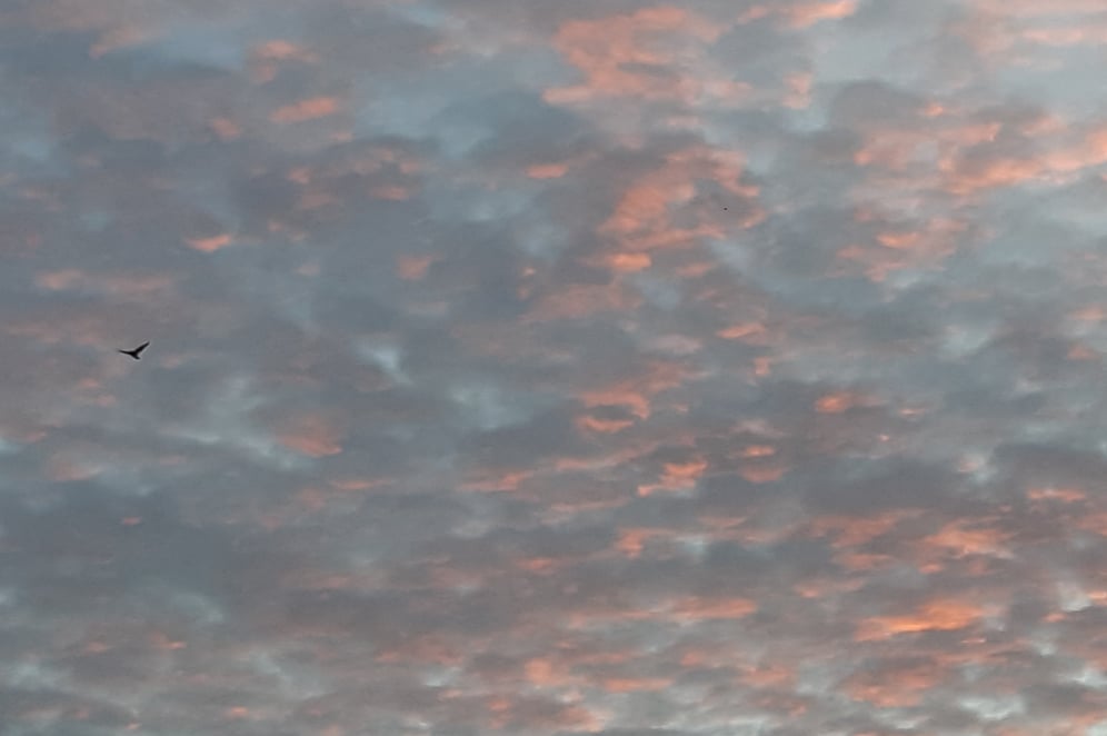 Beauté d'un ciel d'été - Je te laisse découvrir d'autres belles photos dans le 3/