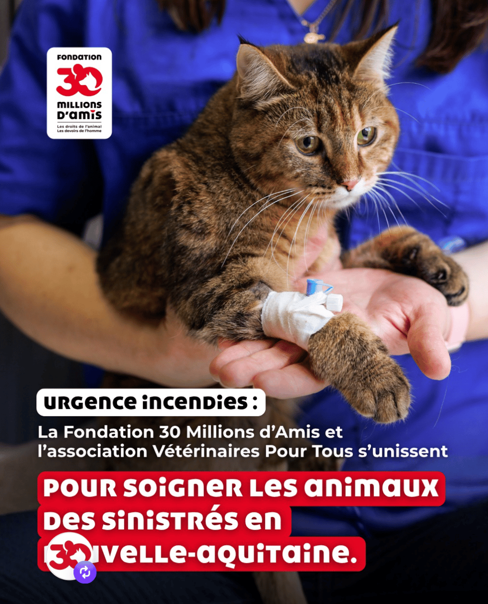 Post Instagram de 30 millions d'amis du 6 août