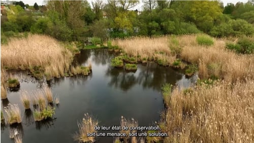 Photo extraite de la vidéo du CERDD - DR