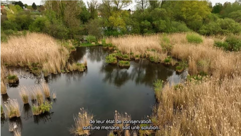 Photo extraite de la vidéo du CERDD - DR