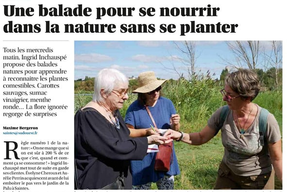 Sud Ouest