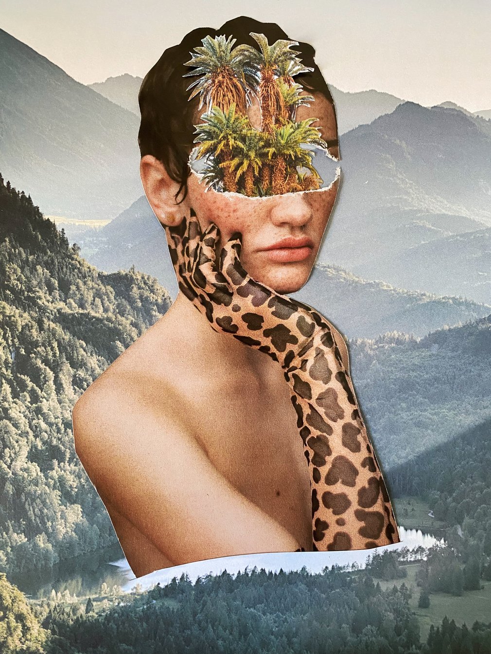 collage papier  : Anaïs Richardin