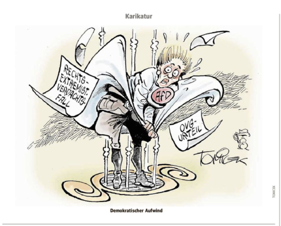 Ou comment la justice démasque l'AfD