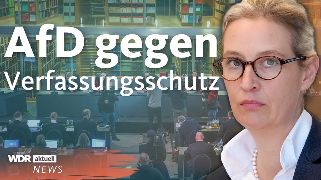 L'AfD contre les renseignements intérieurs (Alice Weidel, co-présidente du parti)