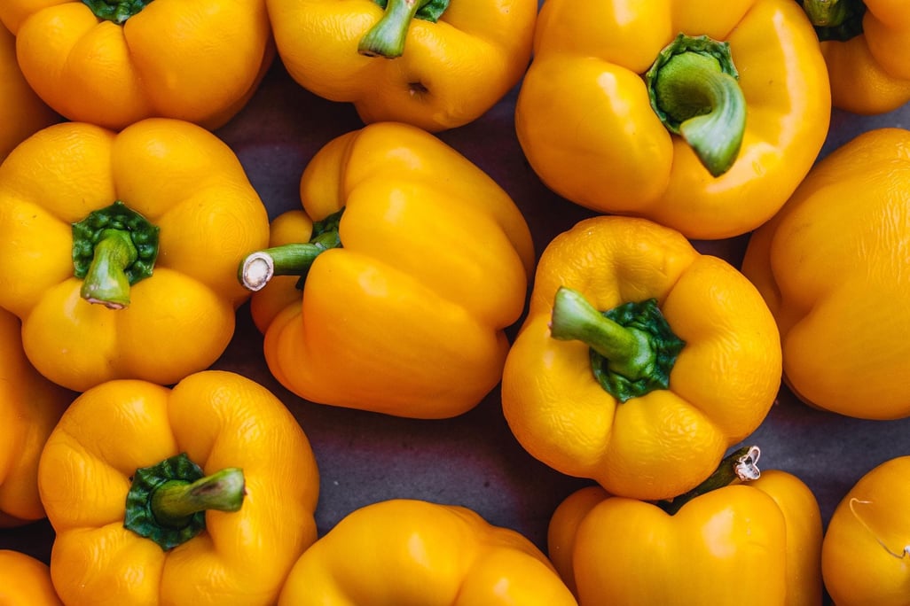 Nicolas Gourdon-Alexis dans Nikko_on_the_go