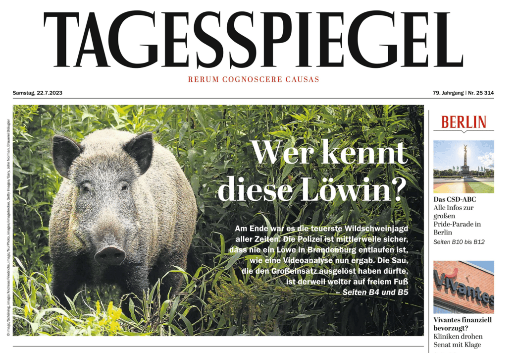 "Qui connait cette lionne ?" titrait a posteriori avec ironie le très sérieux "Tagesspiegel"