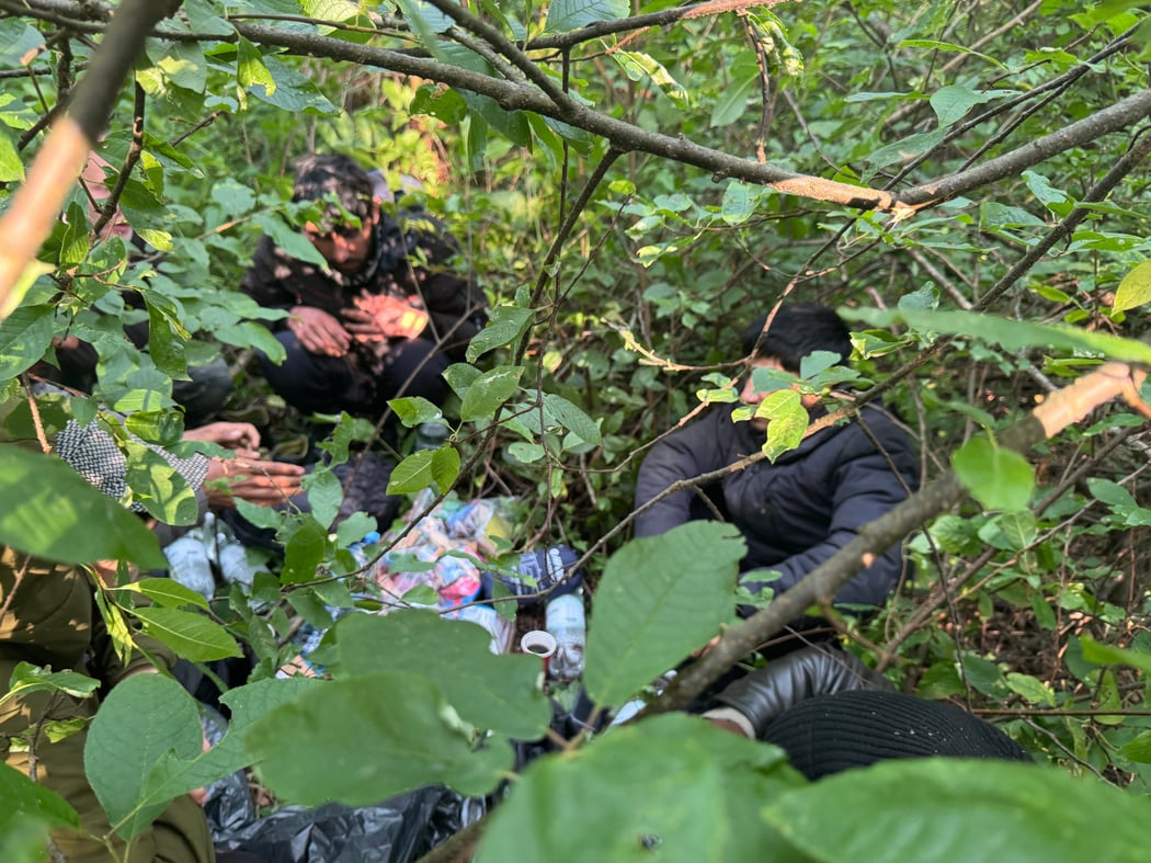Des Afghans se cachent dans la forêt de Bialowieza © Kilian Bigogne