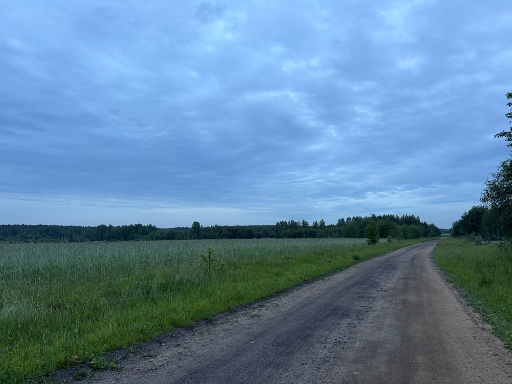 Forêt de Bialowieza © Kilian Bigogne 