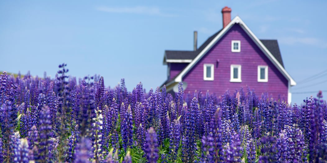 Et toi, il est comment ton cadre de vie ? Feel Good #OuPas ?