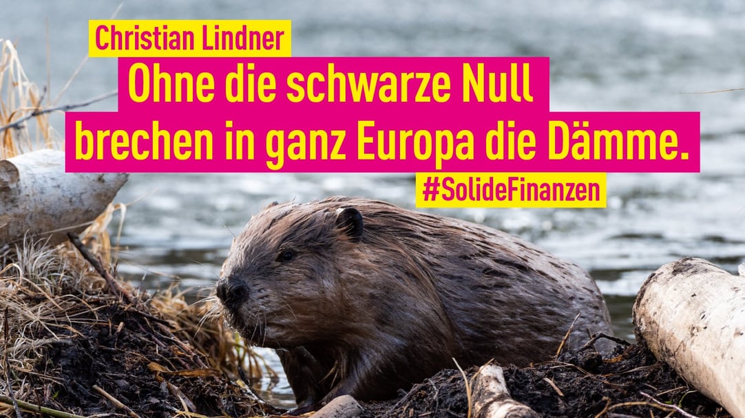 2019 : "Sans la règle d'or, les digues céderaient en Europe. Pour de solides finances publiques" Christian Lindner