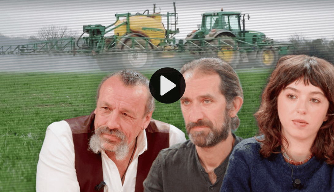 Zoé Moreau (à droite), invitée sur le plateau d'Arrêt sur images