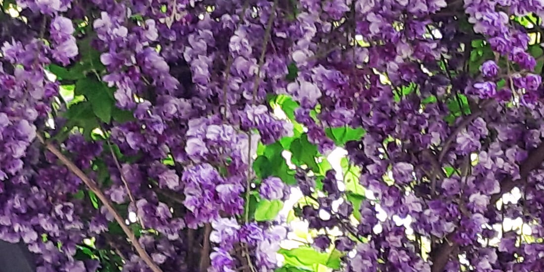 Souvenir du week-end dernier à Lyon