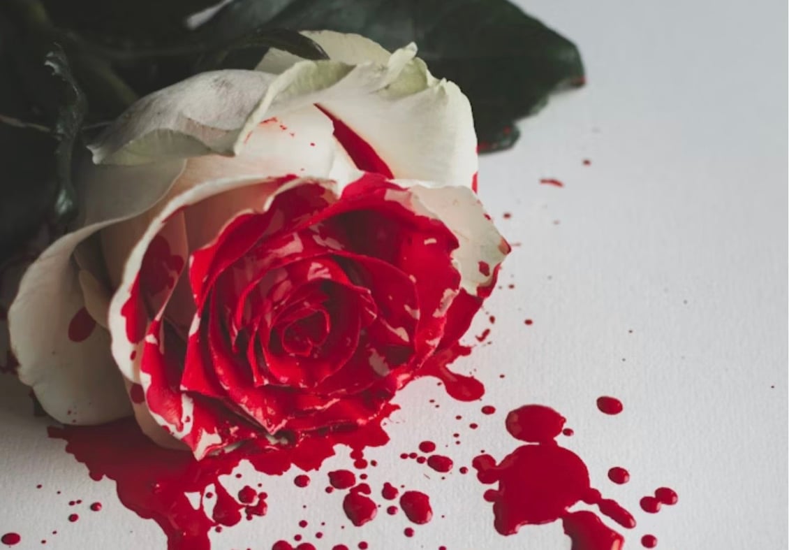 Photo de Alexandre Boucey sur Unsplash