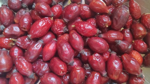 Les cynorrhodons, bombes de vitamine C